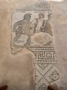 IMG_5273