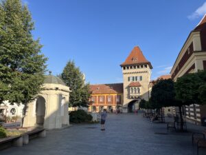 IMG_6320