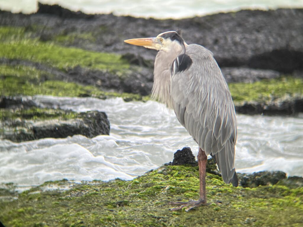 IMG_8079