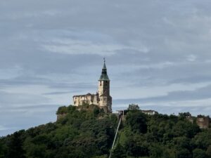 IMG_9291