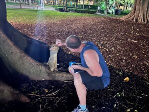 Possum füttern im Hyde Park (SYD)
