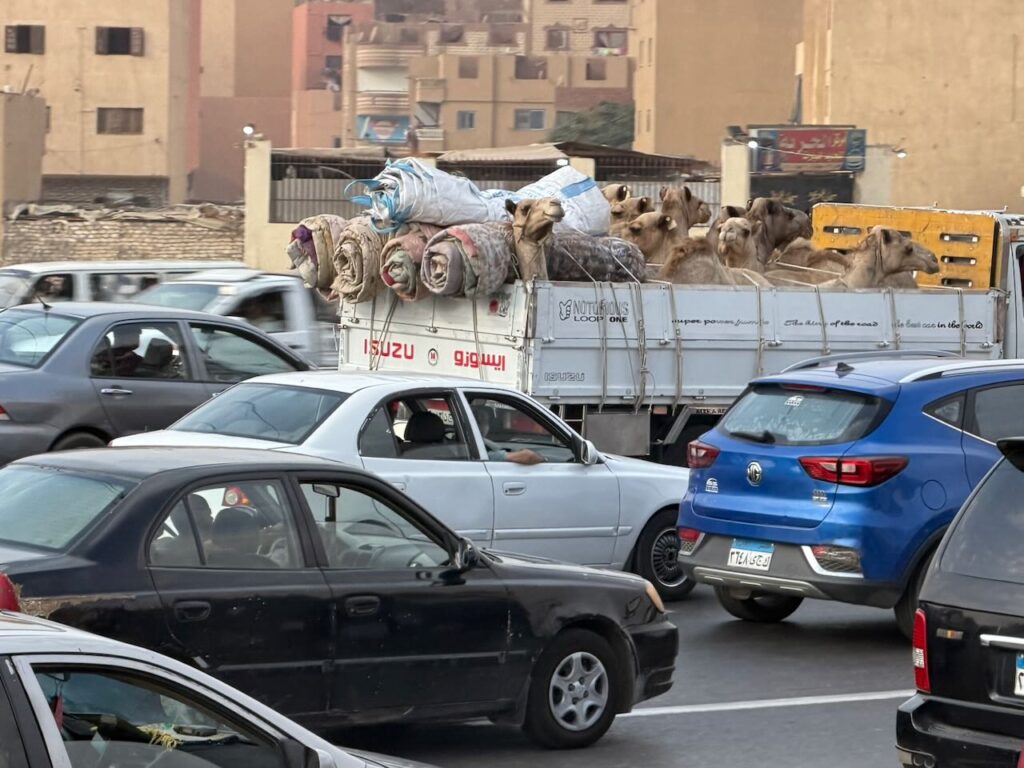 Was man auf dem highway so alles sieht